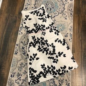 Size 6 LOFT sheath dress- black and white floral, EUC